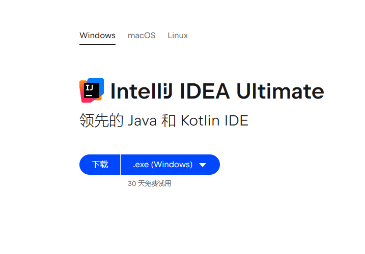 最新ntelliJ IDEA 2024.2 永久激活破解教程,永久使用教程! lntellij ldea破解补丁 破解软件 PC软件 Easyclick 第1张 1.png